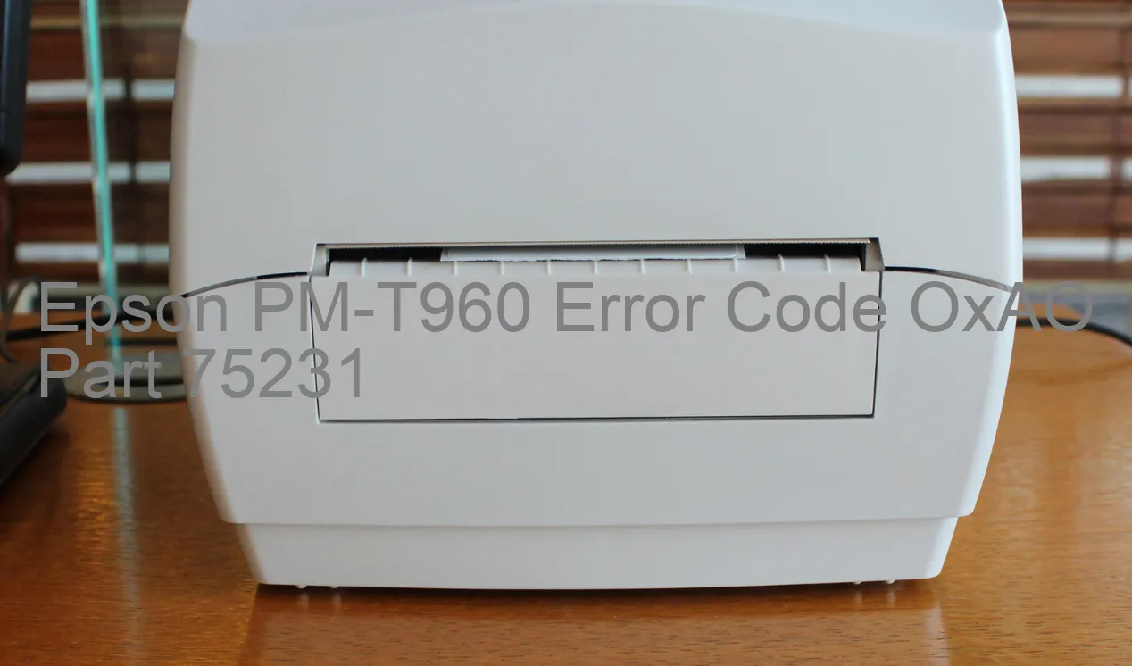 Epson PM-T960 Code d'erreur OxAO